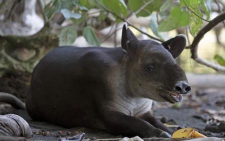 057f586bda0f53a690f94aa1902e78b7_29.01.25_1