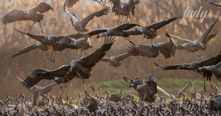 Гороскоп на 25 вересня для всіх знаків зодіаку: день початку кардинальних життєвих змін