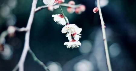 В Україні знову похолодає: синоптикиня повідомила коли