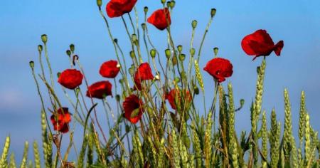 Гороскоп на 2 червня для всіх знаків зодіаку: день, коли не можна брехати