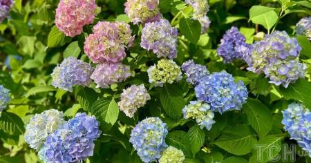 0b0e2aac7ab0bbfbf5fdbdd3a180b806_26.06.25