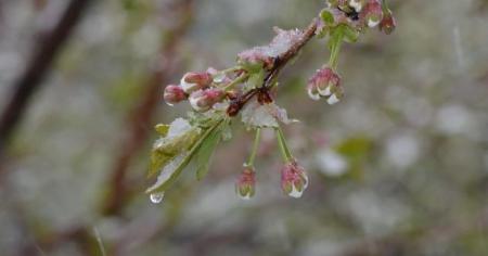 0b44fe6507dacf548ed1ed444bead185_02.05.25_1