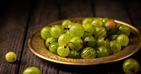 0c535b11b837db22debae000c6ee5272_24.07.25