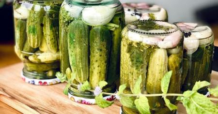 0cd03a93723dc2abcaa50ecbbaff2e71_21.08.25