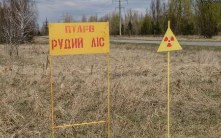 Чорнобиль не пробачає: що сталося з окупантами, які окопувалися у Рудому лісі