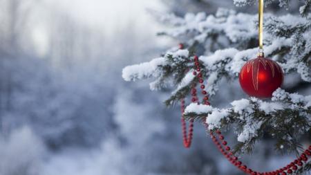 Зимова казка чи дощі? Синоптики розповіли, якої погоди чекати на Новий рік 2024 в Україні