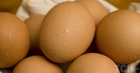 Скільки коштують яйця зараз та чи буде стрибок цін восени