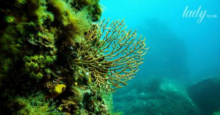 1332f79c1d4509980a9e4e5f10ce6ae5_08.09.25