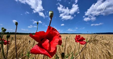 Що зірки нам пророкують: гороскоп на 22–28 вересня 2025 року