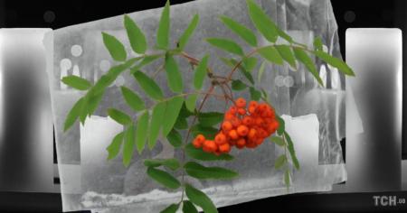 14be5ade951208b3292eaaf214d2faff_28.07.25