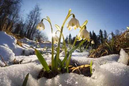 1623284238_32-pibig_info-p-vesna-mart-priroda-krasivo-foto-35_15.02.24