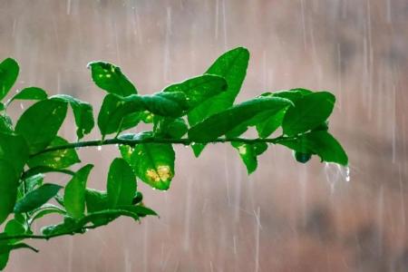 1708455109-3125_03.08.25_1