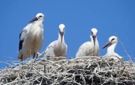 1741000324-3882_04.03.25_1