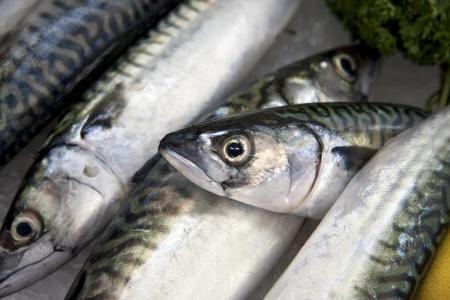 1744202128-7088_12.04.25