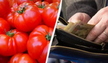 Ціни на помідори в Україні стрімко летять вниз: який прогноз дають фахівці