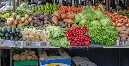 1747649987-3379_21.05.25