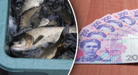 Ціни перевалили за 200 гривень: в Україні подорожчала раніше доступна риба