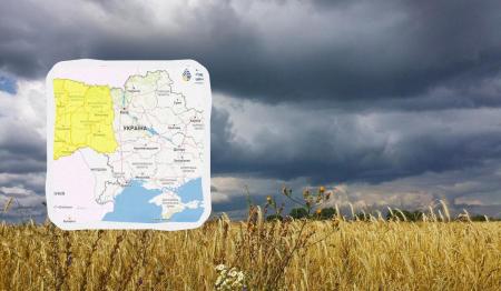 1753168343-4654_22.07.25