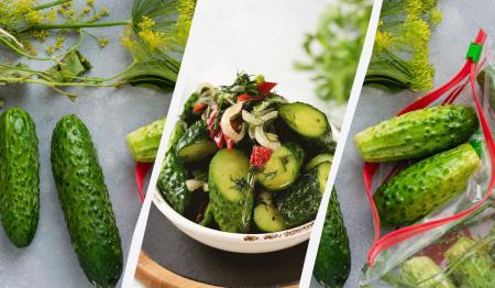 1755108544-7956_18.08.25