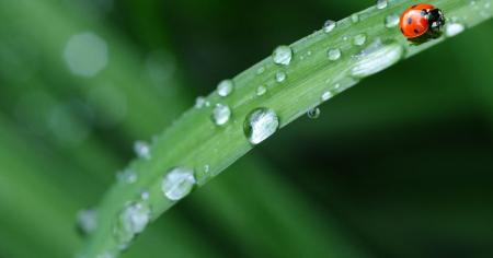 Осінь приходить з дощами: синоптики оновили прогноз на 11 вересня