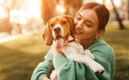 14 ознак того, що ваш собака дійсно любить вас