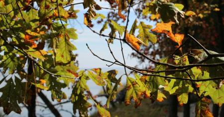 189312c256f130782c86944d9d42670d_22.09.25