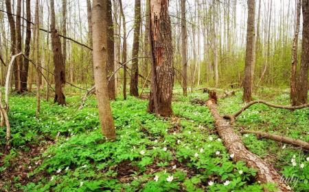 Гороскоп на 14 березня для всіх знаків зодіаку: день революційних змін