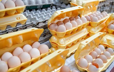 США шукають вільні обсяги яєць по всьому світу