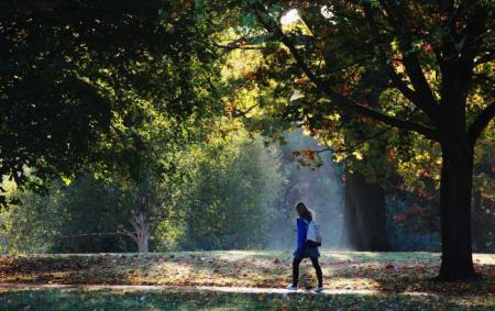 1_2ae09bef0b837818d8d37d510f3665b4_650x410_01.09.25