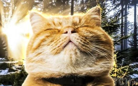 1a57b1ce40ab12592da18eba80ffe87f_22.02.25_1