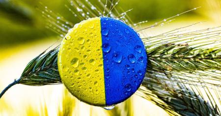 ЄС припинив торговельний безвіз з Україною: що це означає та як вплине на економіку