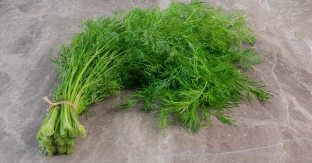 Навіщо лікарі рекомендують обов’язково додавати кріп до страв і яка його користь