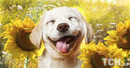 1e4b2da0b5c345319e36d7783b1d8c02_24.07.25