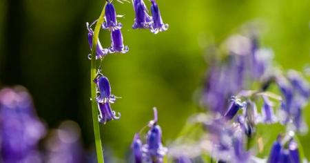 Гороскоп на 6 травня для всіх знаків зодіаку: день, коли енергетика дня дає сили для будь-яких звершень