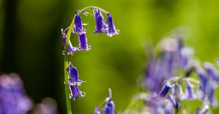 Що зірки нам пророкують: гороскоп на 9-15 червня 2025 року