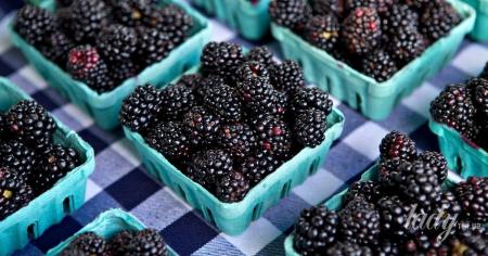 1f49031015502572f248dae7330a4afe_05.08.25