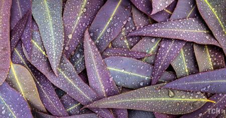 1faacf5e37c0b8ddab78fdcc23bdb917_24.09.25