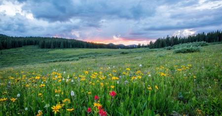 Чи очікувати в Україні потепління: якою буде погода 30 травня