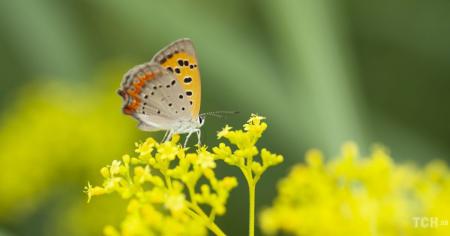 22e939fa0a5b2eec68c540d662716dac_22.08.25