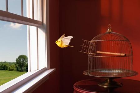 232b6532f50ac8c79c2b74902558bbca_665x442_25.09.25