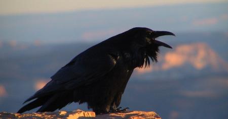 245e7d73aad4794042845295b37cf546_02.10.25