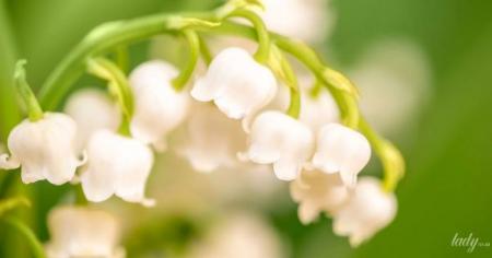 2647be066b5c11cc8f6a27bd02cb71af_01.05.25_1