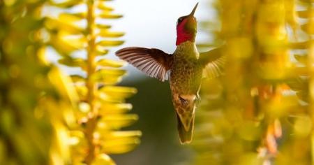 277cf7b89bd52674e97b75e01a831bdb_20.05.25-1