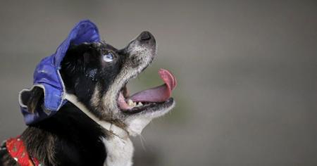 На Україну насувається спека: синоптикиня назвала дати