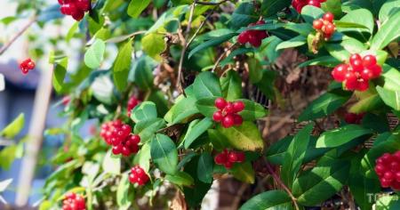 2889c65887e5babac984d03cc0dc0f09_11.08.25