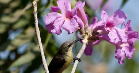 Що зірки нам пророкують: гороскоп на 2-8 червня 2025 року