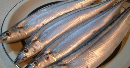 Ця морська риба найбільш недооцінена, а дарма: вона недорога, дуже смачна і неймовірно корисна