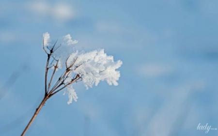 2b486bc10cf380f66228e7fc830f3519_05.02.25_1