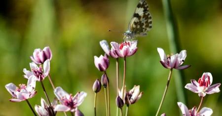 2b58b6f33b3860ac707631a10aac42f5_20.05.25_1