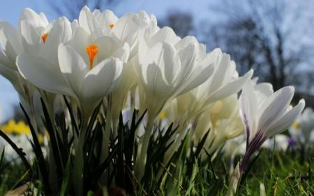 2d3b12a2775e0290c3e7a639c3fddd4c_28.02.25_1